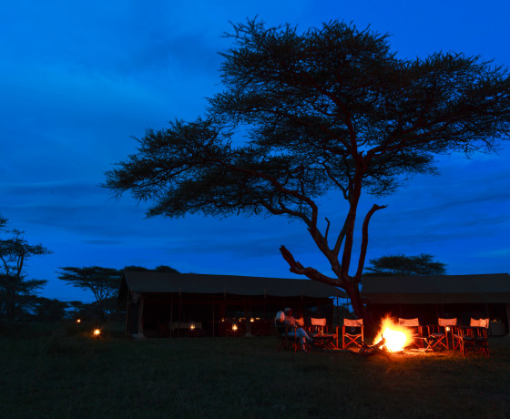 african safari holiday tours kenya and tanzania